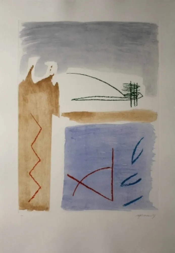 Ets En Aquatint Ràfols Casamada - Camí de primavera 5