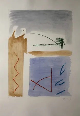 Ets En Aquatint Ràfols Casamada - Camí de primavera 5