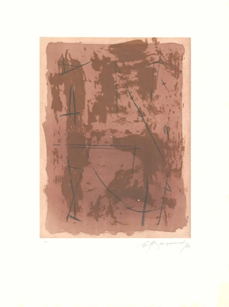 Ets En Aquatint Ràfols Casamada - Circ-1