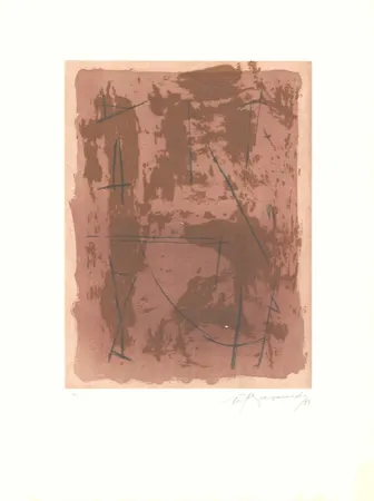 Ets En Aquatint Ràfols Casamada - Circ-1