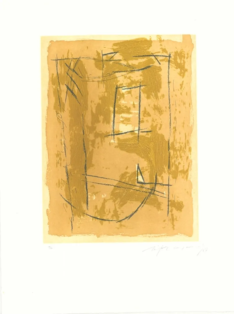 Ets En Aquatint Ràfols Casamada - Circ-4