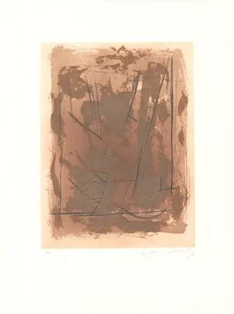 Ets En Aquatint Ràfols Casamada - Circ-6