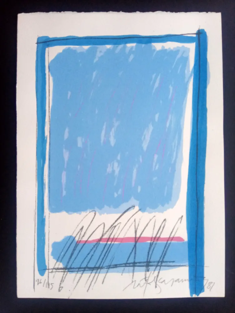 Zeefdruk Ràfols Casamada - Episodi VIII