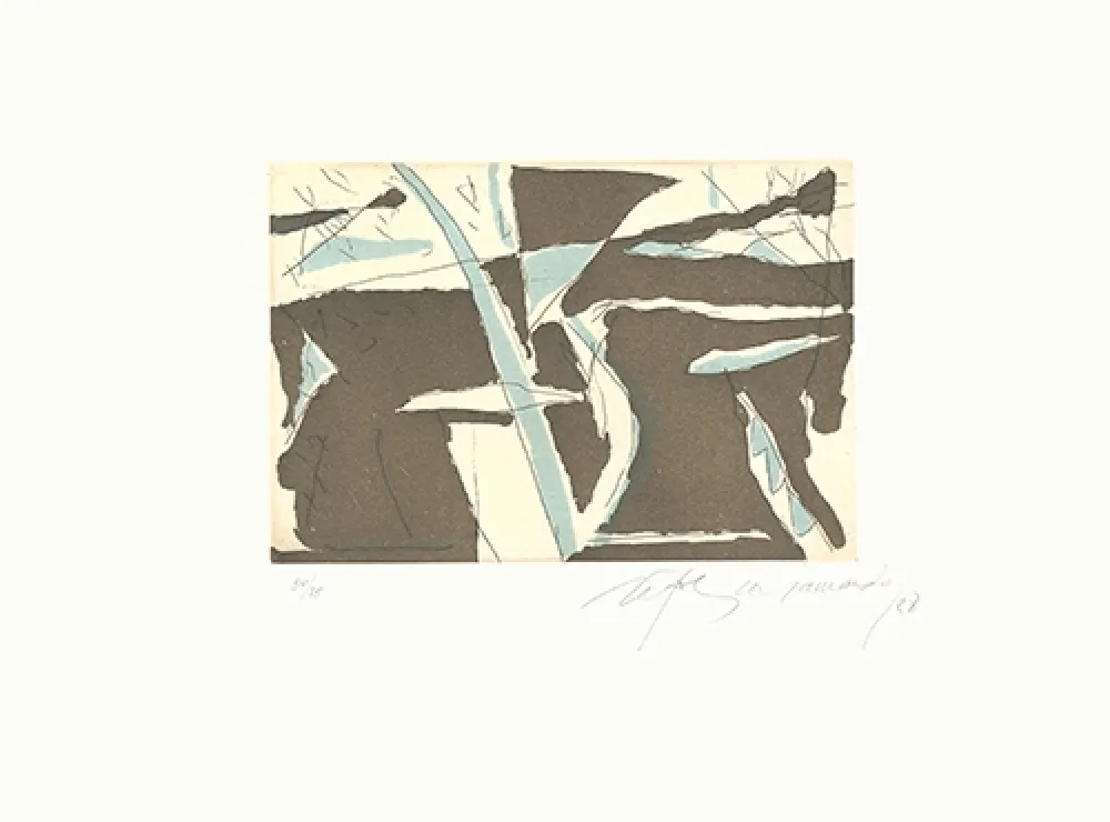 Ets En Aquatint Ràfols Casamada - Estiu-4