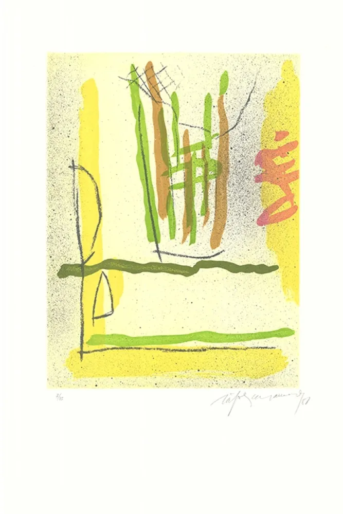 Ets En Aquatint Ràfols Casamada - Floral-1