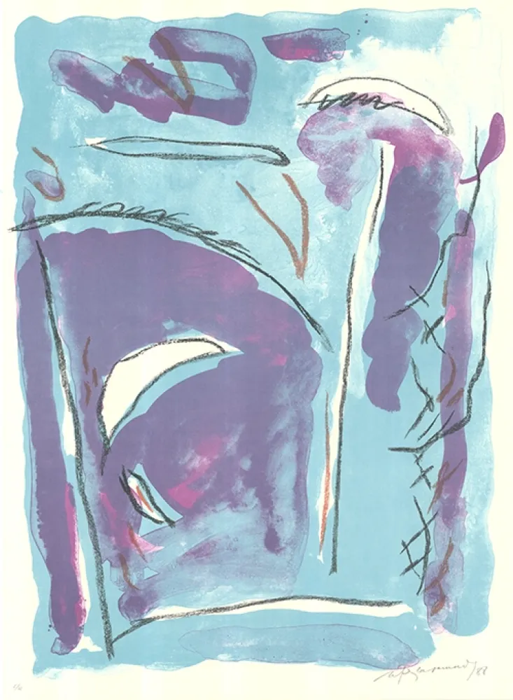 Lithografie Ràfols Casamada - Parc-5