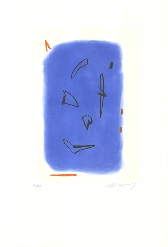 Ets En Aquatint Ràfols Casamada - Primavera-1