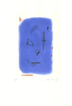 Ets En Aquatint Ràfols Casamada - Primavera-1