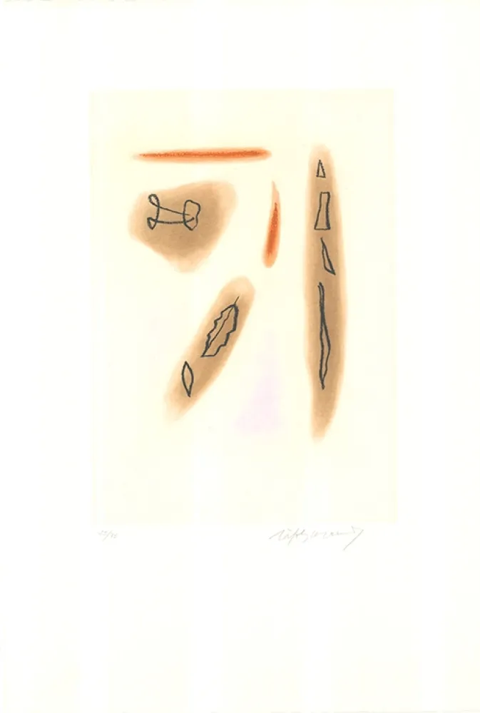 Ets En Aquatint Ràfols Casamada - Primavera-3