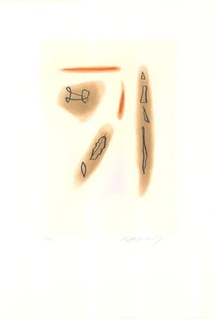 Ets En Aquatint Ràfols Casamada - Primavera-3