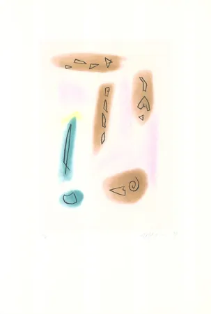 Ets En Aquatint Ràfols Casamada - Primavera-4