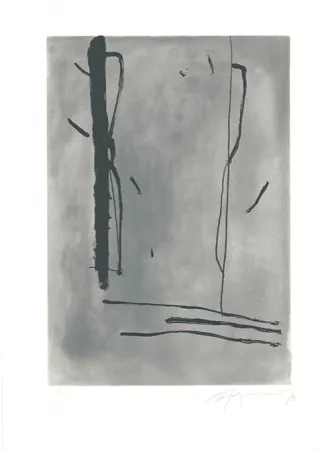 Ets En Aquatint Ràfols Casamada - Signe i Color-1