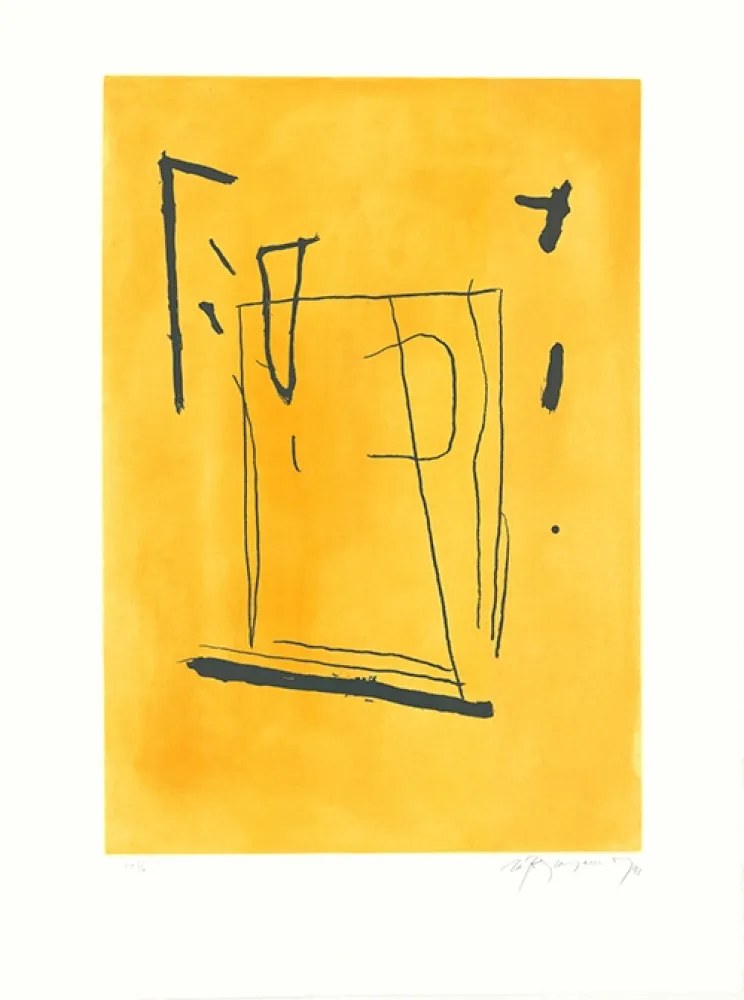 Ets En Aquatint Ràfols Casamada - Signe i color 3