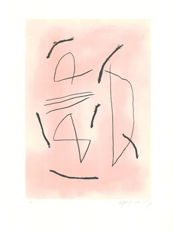 Ets En Aquatint Ràfols Casamada - Signe i color 4