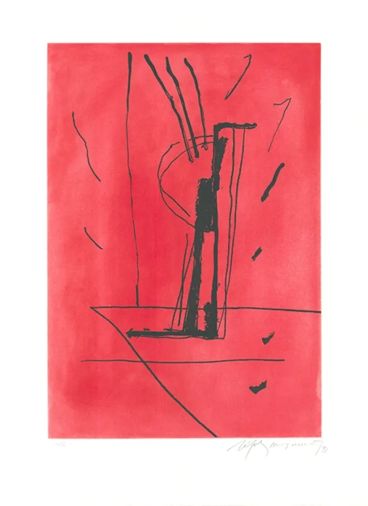 Ets En Aquatint Ràfols Casamada - Signe i color 6