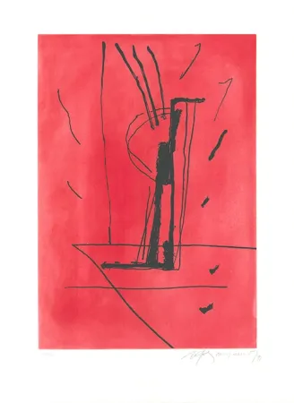 Ets En Aquatint Ràfols Casamada - Signe i color 6