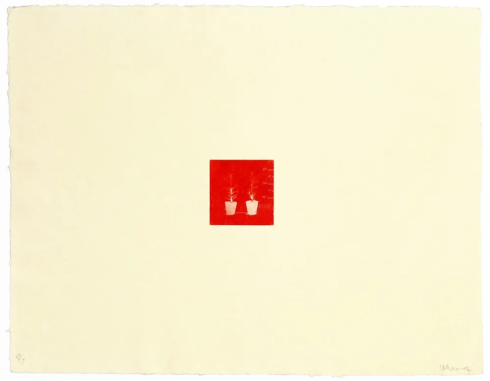 Gravure Ramírez Suass - S'enraciner