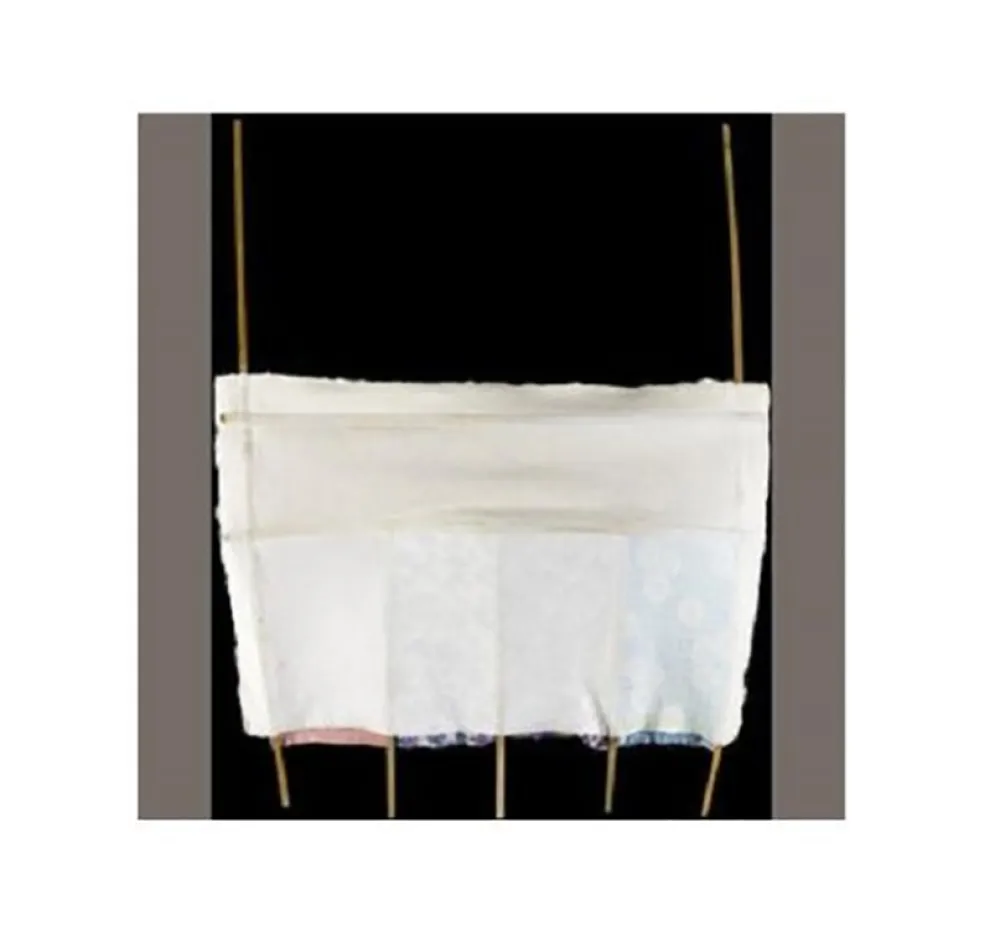 Zeefdruk Rauschenberg - BOX CARS (BONES AND UNIONS)