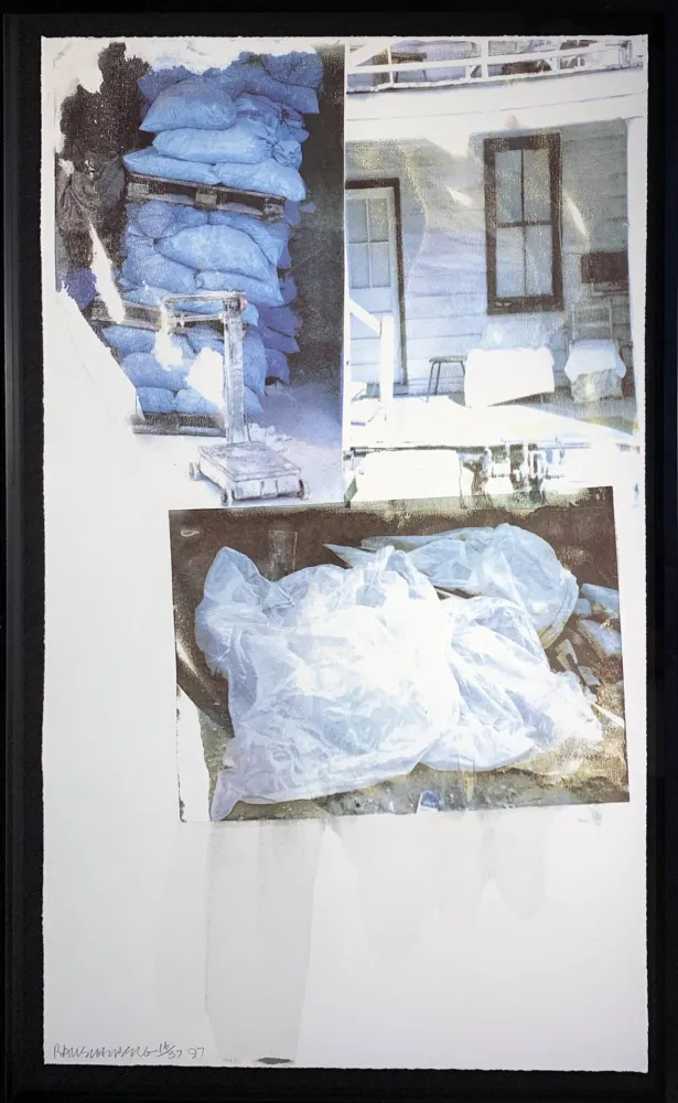 Zeefdruk Rauschenberg - Daydream (Speculations)