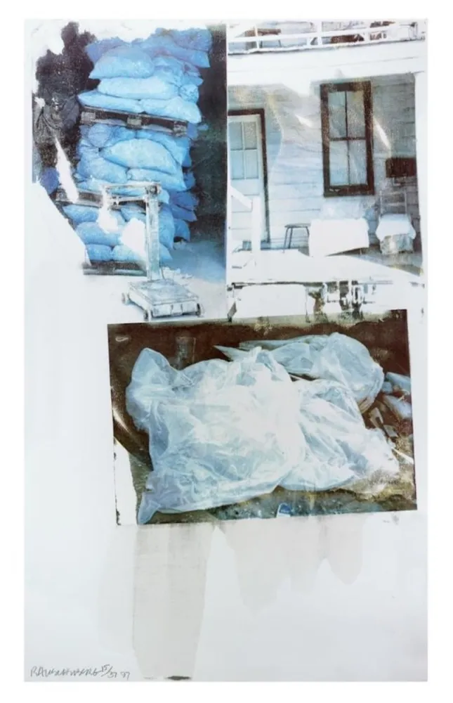 Zeefdruk Rauschenberg - Daydream (Speculations)