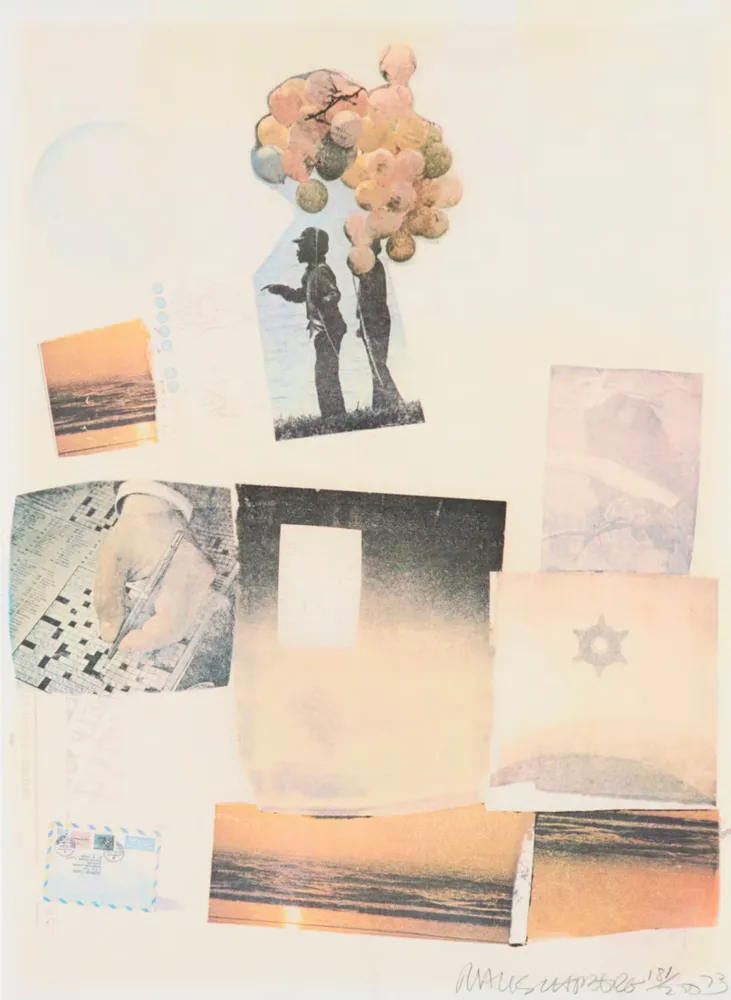 Zeefdruk Rauschenberg - Support