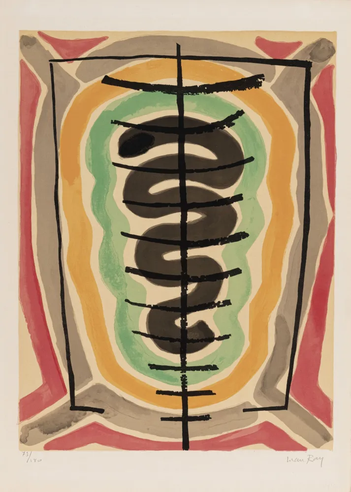 Lithografie Ray - De l'origine des espèces par voie de sélection irrationnelle (#B), 1971 - Hand-signed!