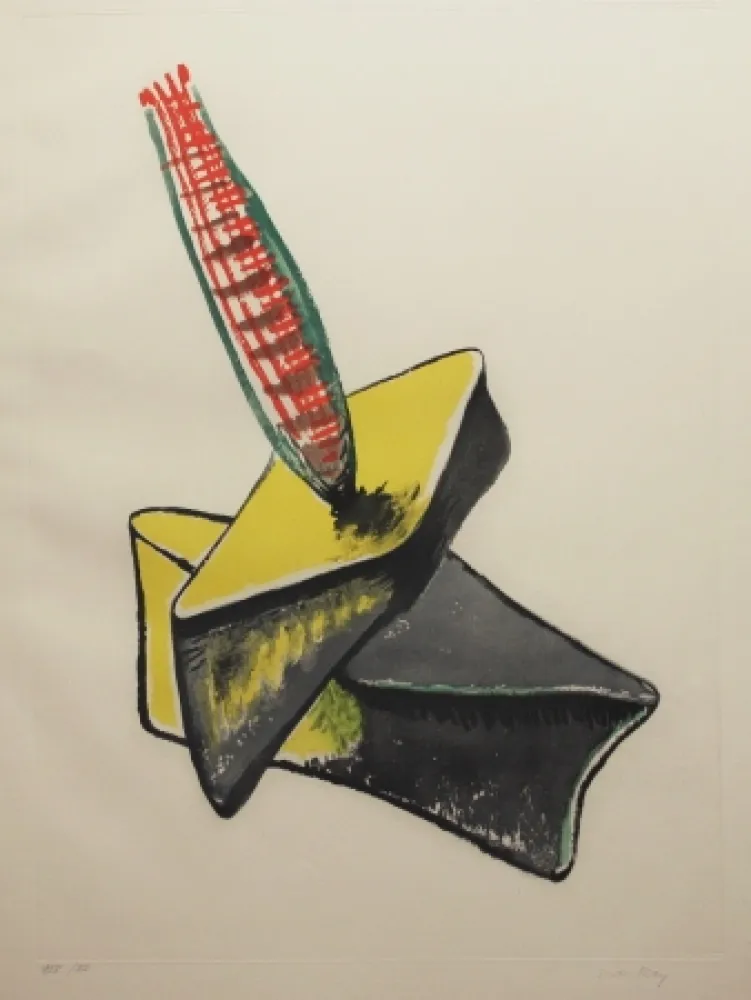 Ets En Aquatint Ray - Transfiguration d'un cactus