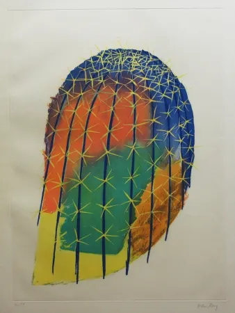 Ets En Aquatint Ray - Transfiguration d'un cactus