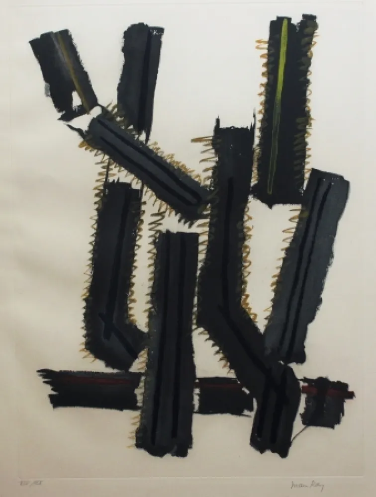 Ets En Aquatint Ray - Transfiguration d'un cactus