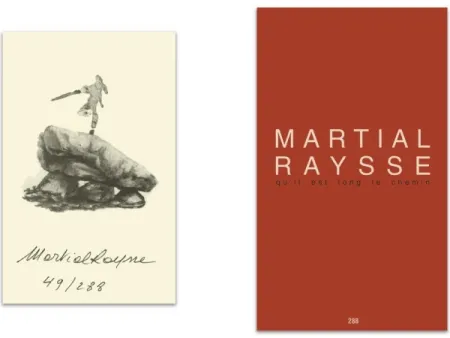 Geïllustreerd Boek Raysse - L'art en écrit