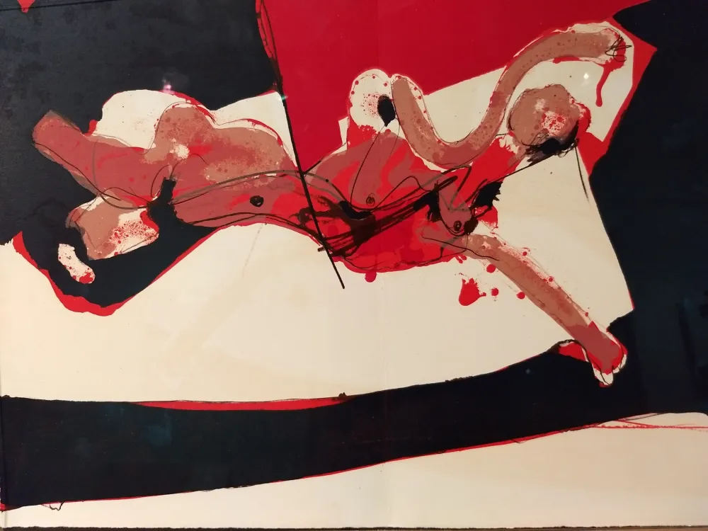 Geïllustreerd Boek Rebeyrolle - Coexistances