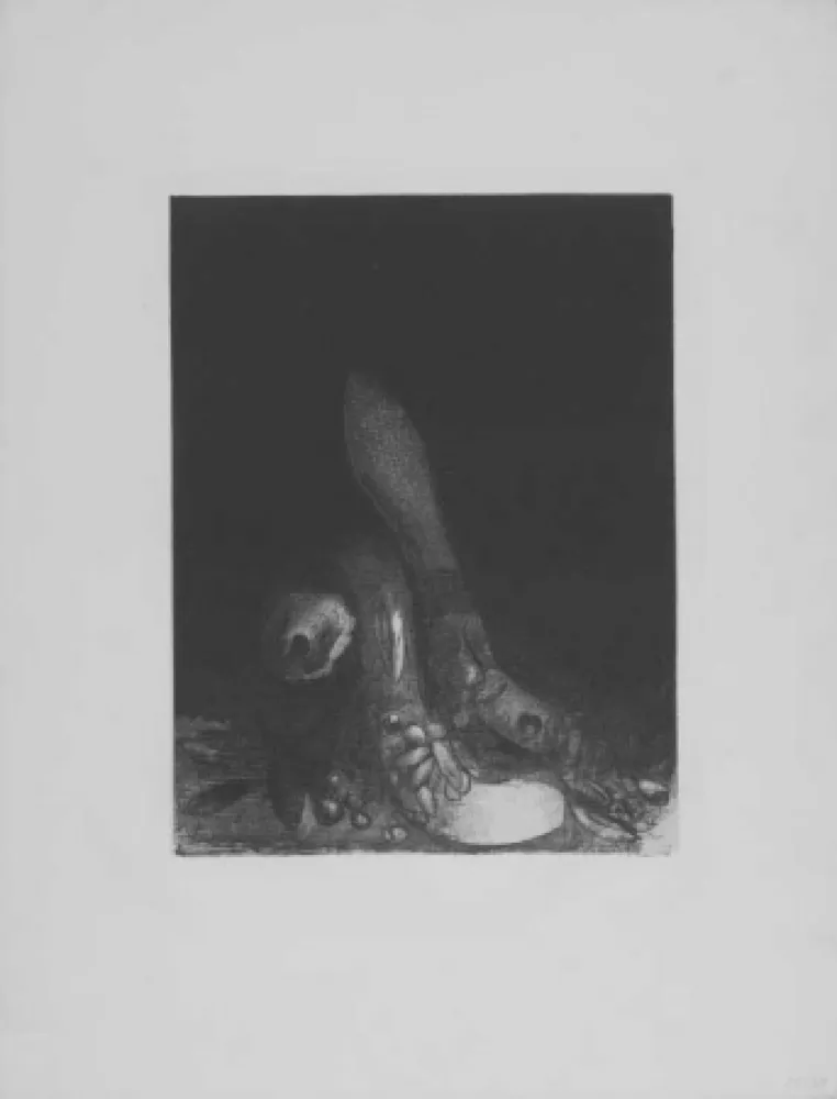 Lithografie Redon - Des fleurs tombent, e la tete d'un phyton parait