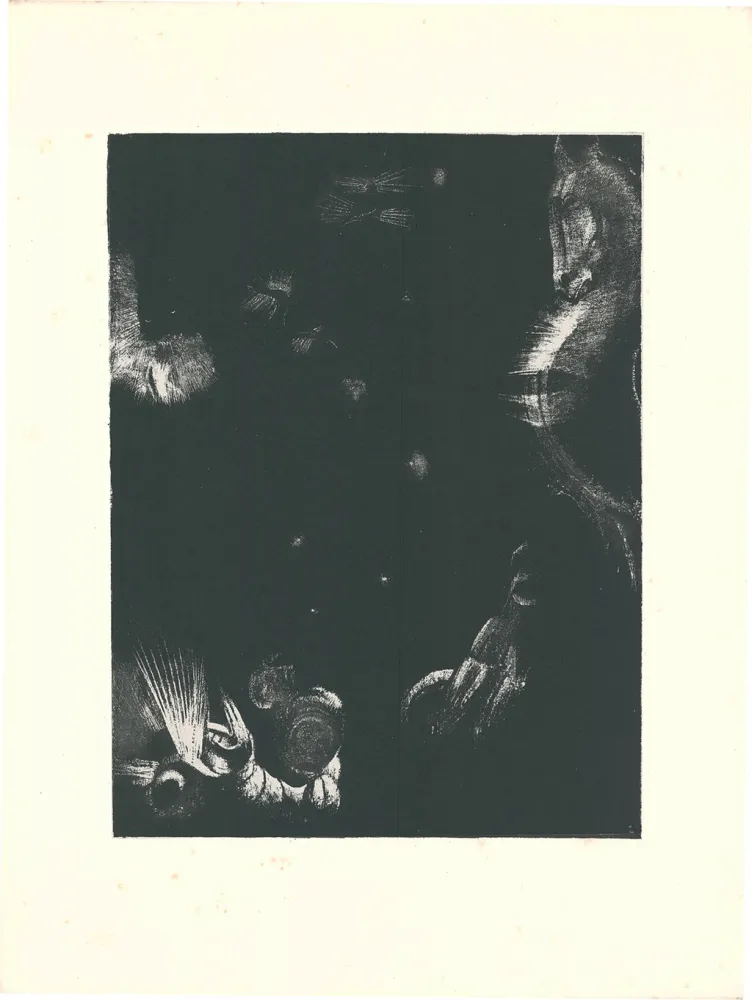 Lithografie Redon - Des peuples divers habitent les pays de l'Océan