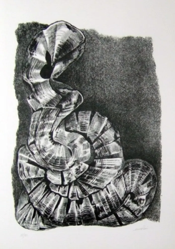 Geïllustreerd Boek Ricci - Lettera a un amico (e, indirettamente, a tutti gli altri)