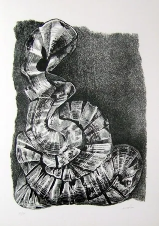 Geïllustreerd Boek Ricci - Lettera a un amico (e, indirettamente, a tutti gli altri)