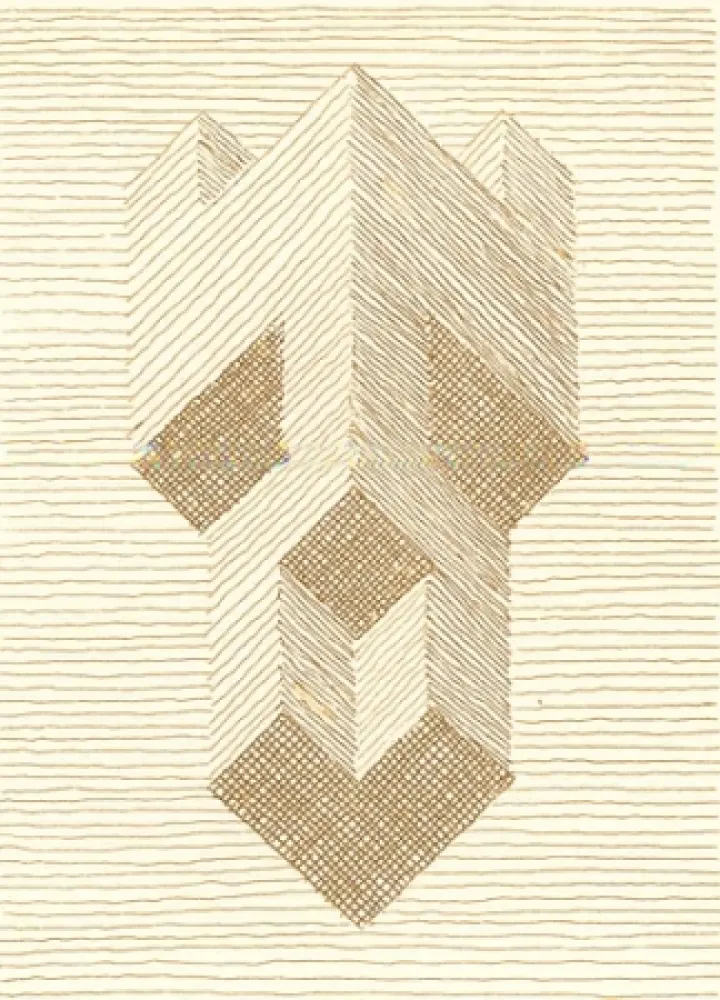 Geïllustreerd Boek Ricci - Nel rettangolo dei teoremi