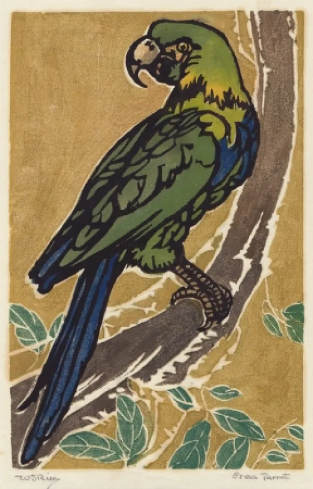 Houtsnede Rice - Green Parrot