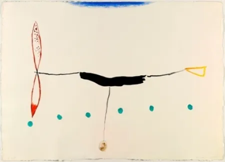 Ets Riera I Aragó - Avió alargado cola amarilla