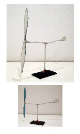 Geen Techniek Riera I Aragó - Avió blanc amb cua