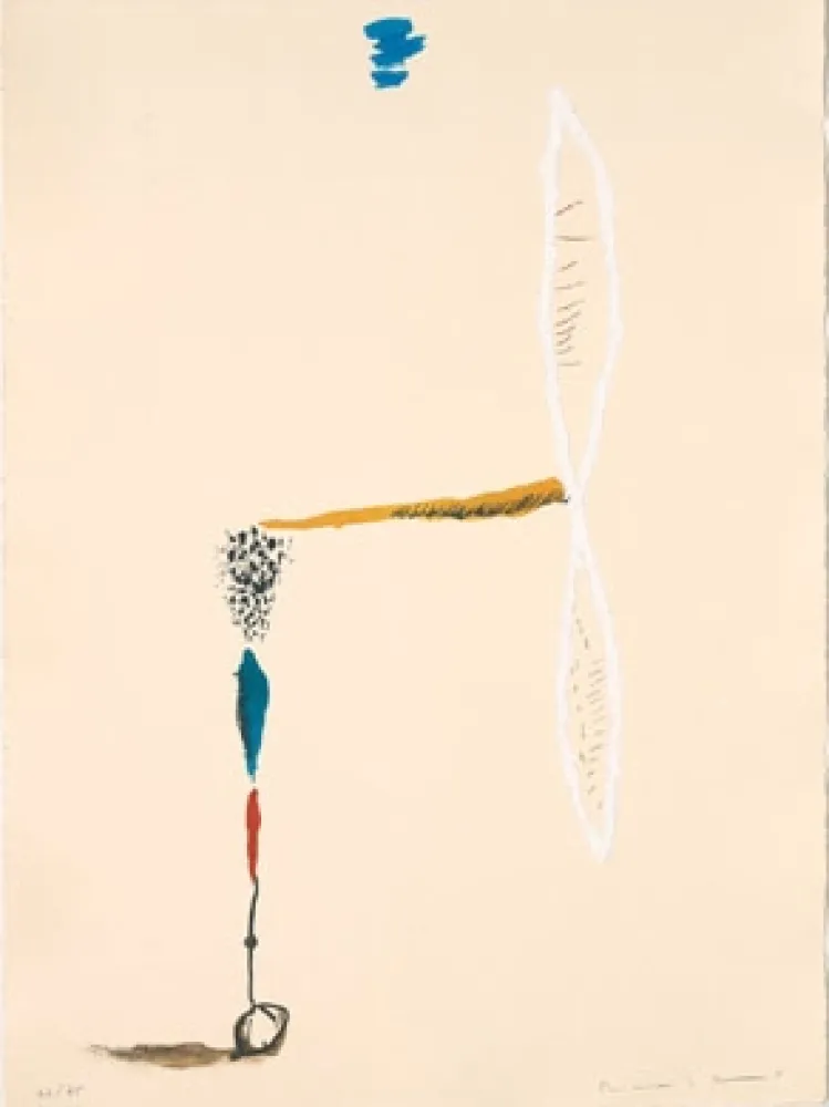 Lithografie Riera I Aragó - Avió hèlix blanc 