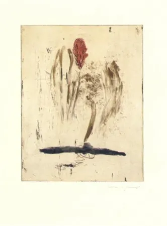 Gravure Riera I Aragó - Submarí i ala