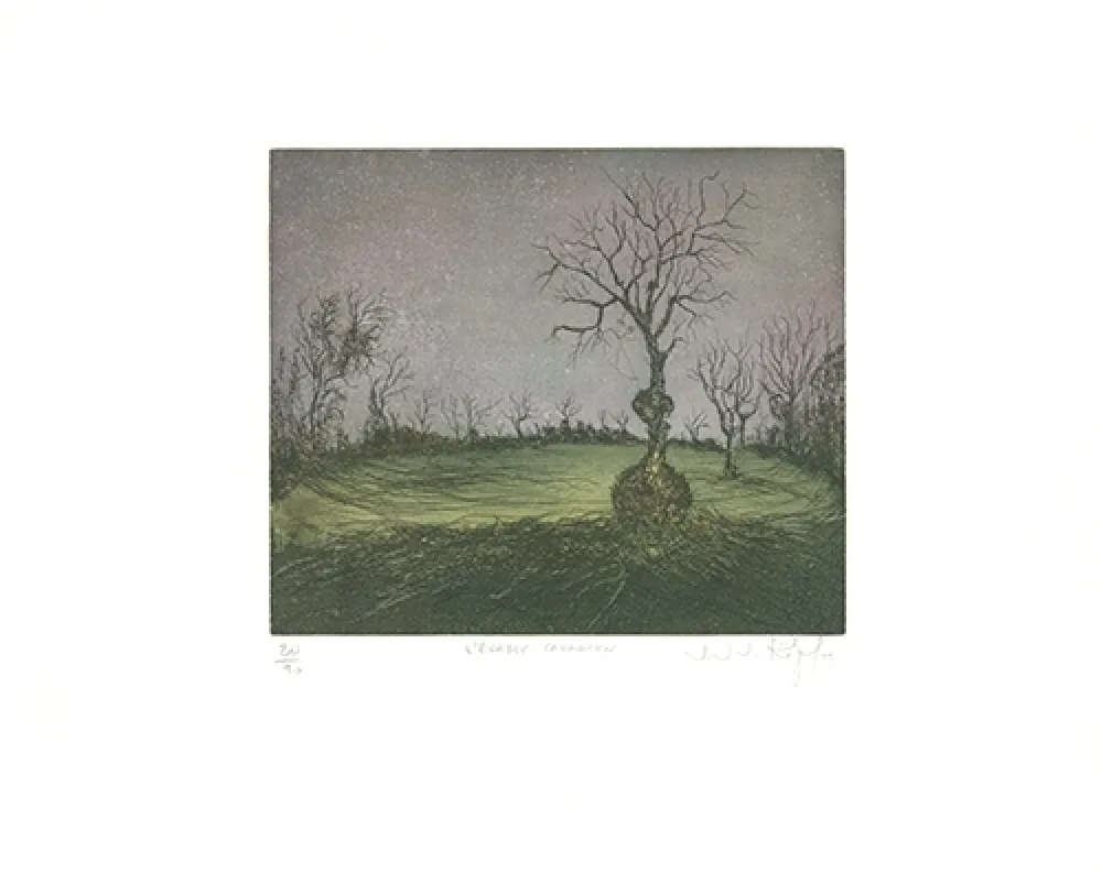 Ets En Aquatint Rigal J.j.j. - L'Erable canadien