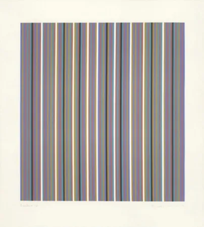 Zeefdruk Riley - Brouillard