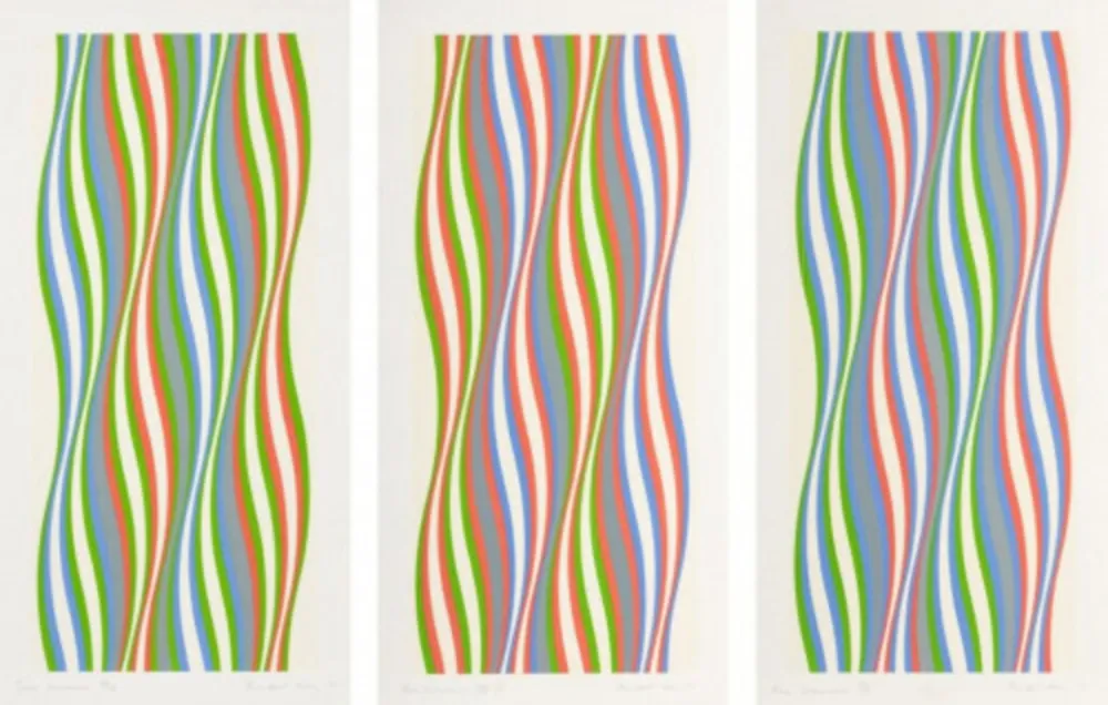 Zeefdruk Riley - Green Dominance, Blue Dominance, Red Dominance (set of 3)