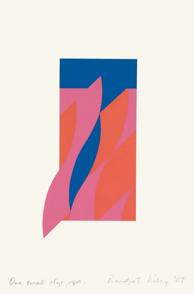 Zeefdruk Riley - One small step