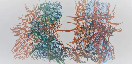 Lithografie Riopelle - Album #7 Cat. No. 221