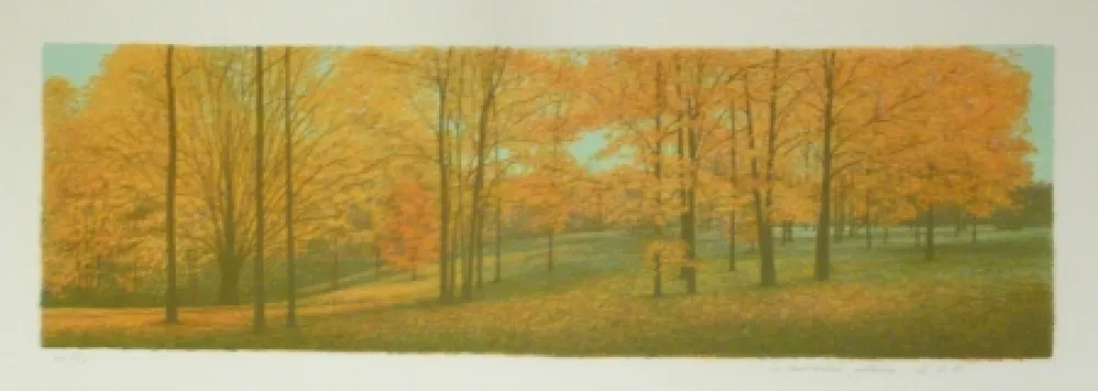 Lithografie Rodrigo - The Memory remains among the Indiana Woods 