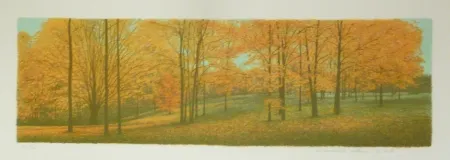 Lithografie Rodrigo - The Memory remains among the Indiana Woods 