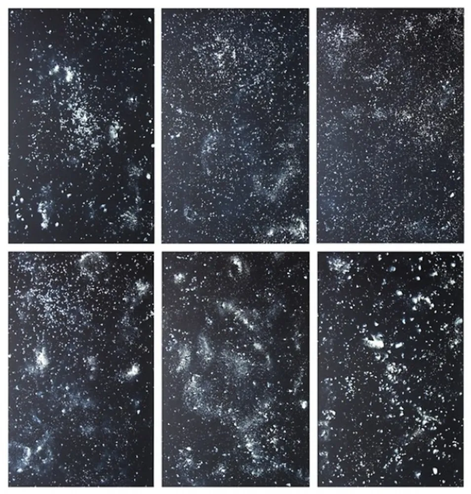 Lithografie Rondinone - Stars, portfolio