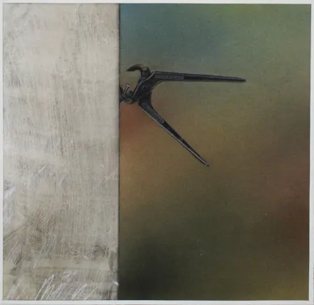 Geen Techniek Rösel - Kneifzange